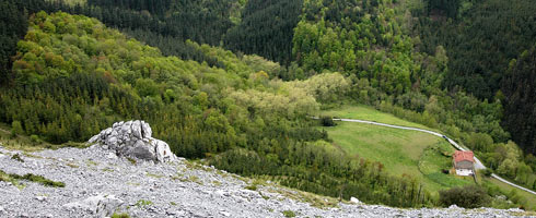 Caserío Intxaurralde rodeado de bosques autóctonos y plantaciones forestales