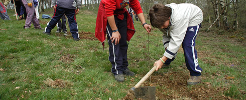 Abadiño school children planting trees at Urkiola