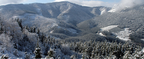Vista del monte Saibi en invierno. El amplio mosaico de bosques naturales y repoblaciones forestales del Parque alberga una variada e interesante fauna