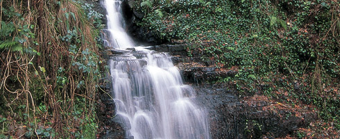 Cascadas en la ladera norte del Urkiolagirre. Junto a los arroyos crece una exuberante vegetación en la que abundan los musgos y los helechos