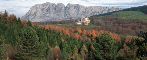 Otoño en Urkiola. Bosques autóctonos, repoblaciones forestales, pastizales y comunidades de roquedo forman el tapiz vegetal del Parque Natural de Urkiola