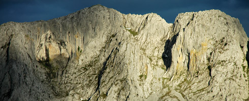 Roquedo del monte Alluitz (1.040 m.). La verticalidad de estos farallones rocosos impide el desarrollo de una tupida vegetación, sin embargo, sobre estas rocas se pueden encontrar muchas especies diferentes, algunas de ellas realmente singulares